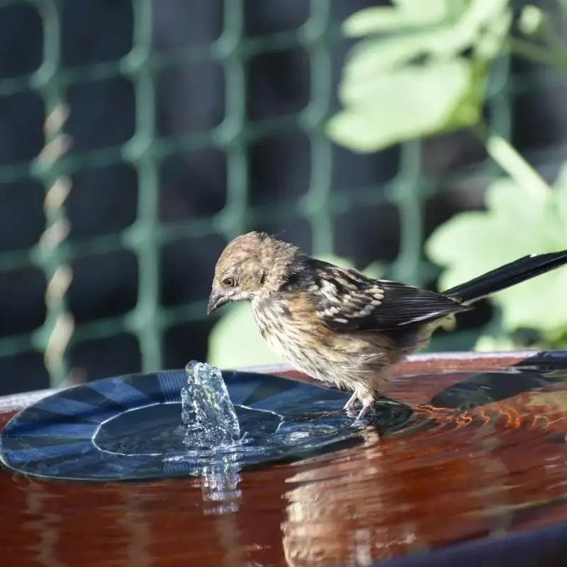 Mini Solar Water Fountain Pool Pond