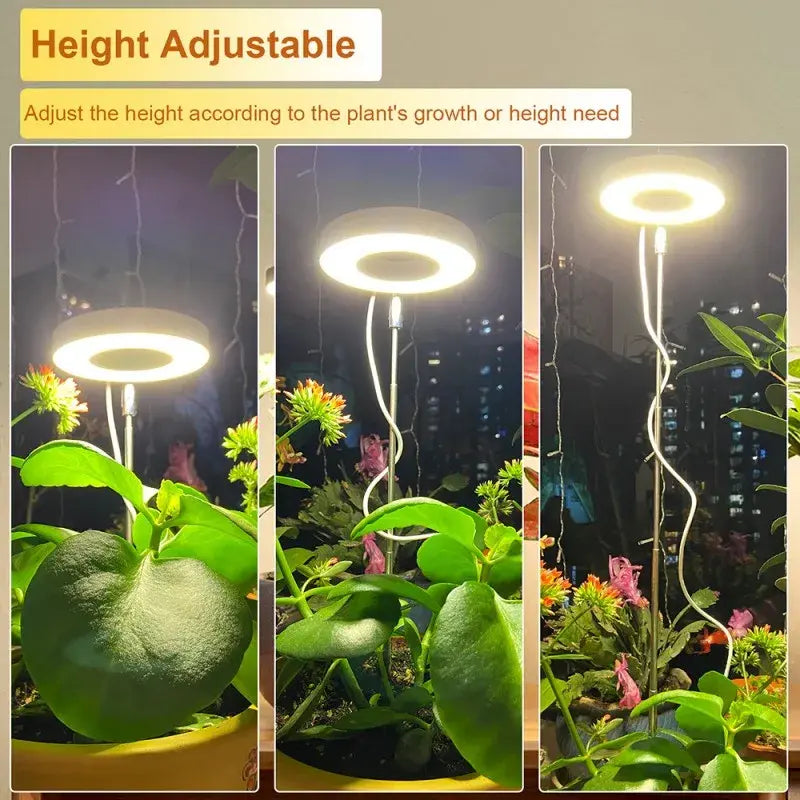 Spectrum Indoor Solar Growth Light